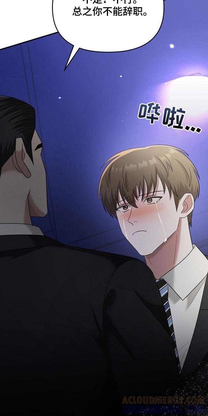 《秘书生存指南》第69章：不能放手 第33页