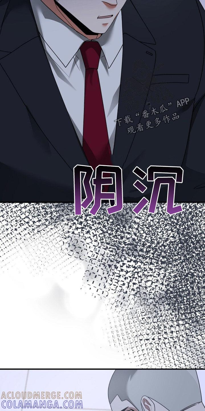 《秘书生存指南》第70章：原谅他吧 第29页