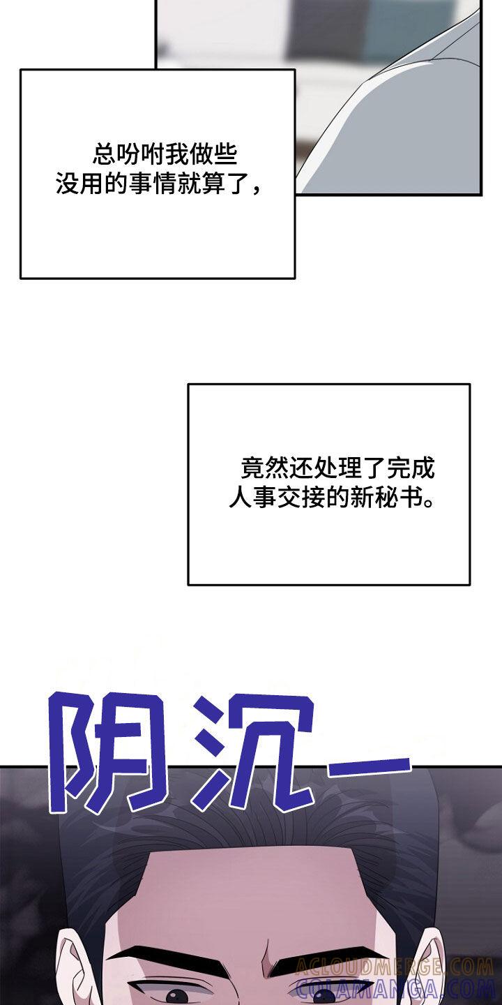 《秘书生存指南》第75章：最后的礼物 第15页