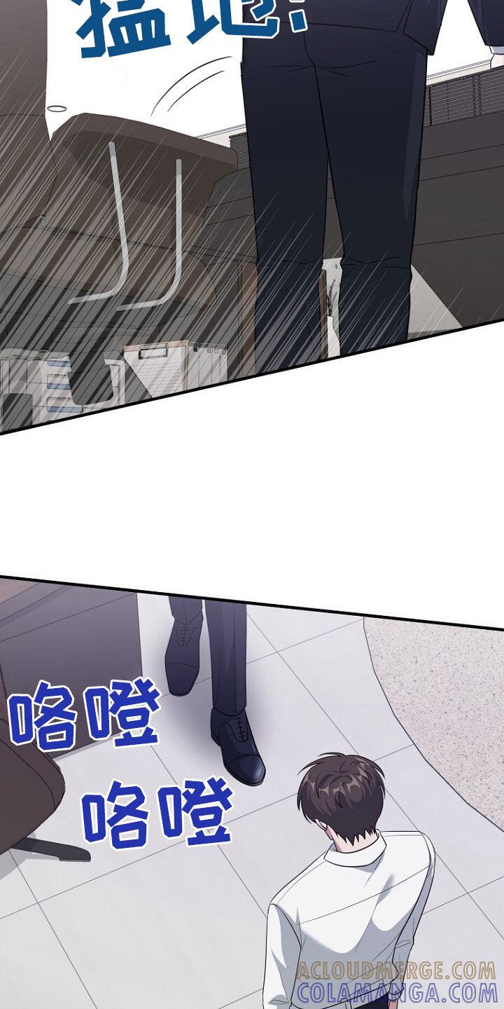 《秘书生存指南》第75章：最后的礼物 第11页