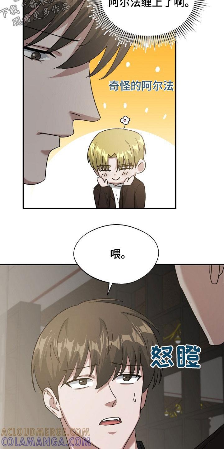 《秘书生存指南》第84章：奇怪的阿尔法 第17页