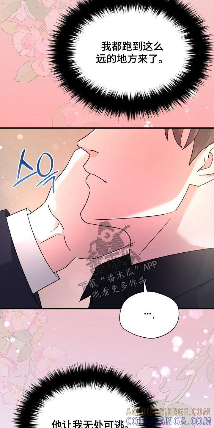 《秘书生存指南》第86章：无处可逃 第35页