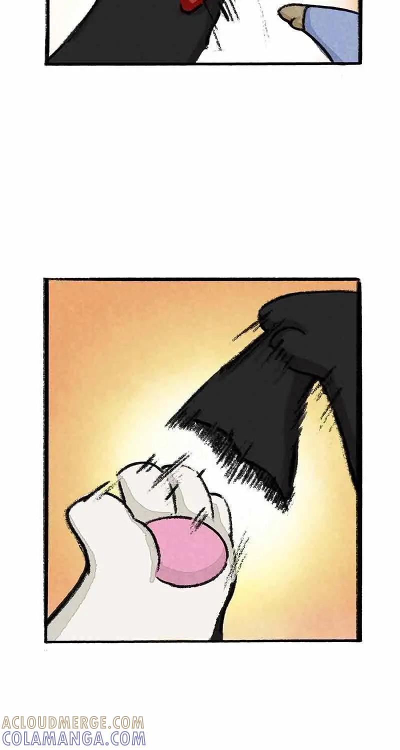 《京剧猫喵日常》第11话：大飞算命 第13页