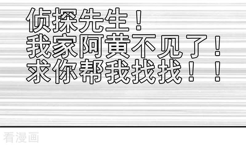 《不凡的菜鸡》第9话 隐藏的太深就没了 第72页