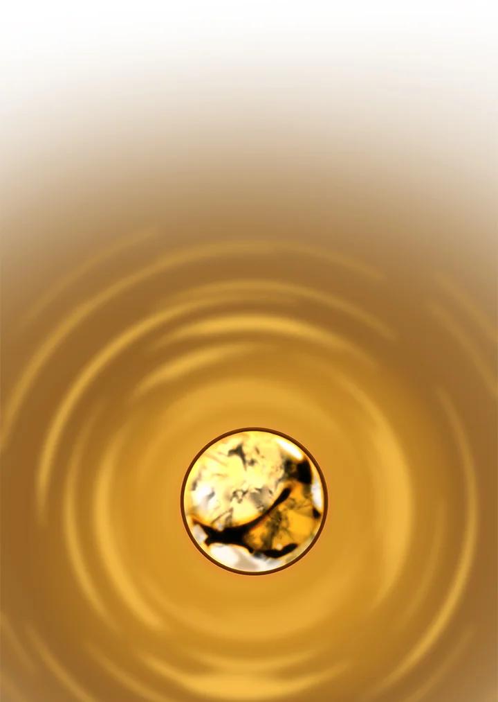 从满级开始升级 - 第58话 - 第10张图