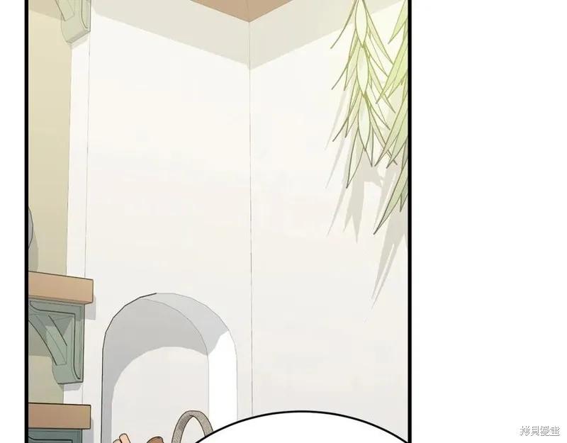 《明明是冷美人小姐却变成了忠犬大少爷》第76话 第35页