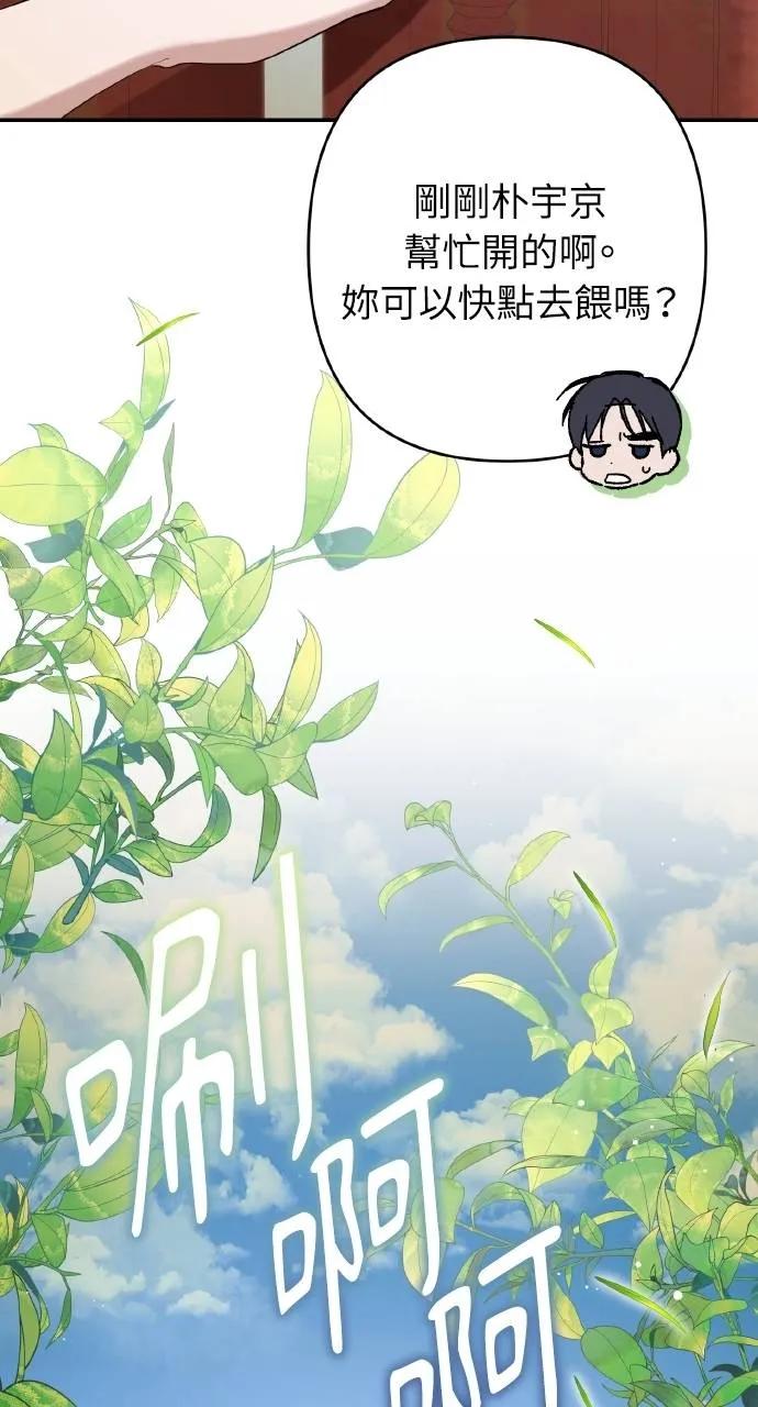 《春之影》第11话 第77页