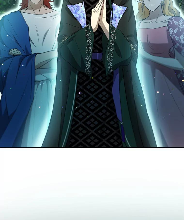 重生为神兽宝宝 - 34.往事 - 第28张图