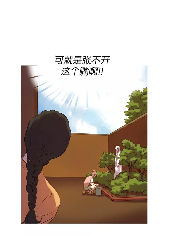 《怦然的魔幻时刻》第14话 第41页