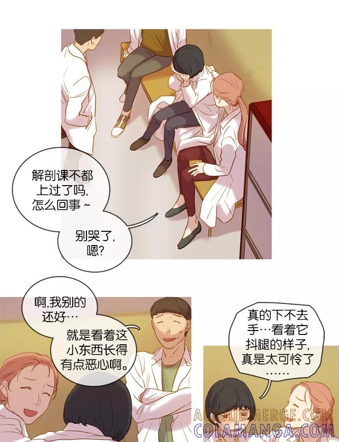 《怦然的魔幻时刻》第31话 第19页