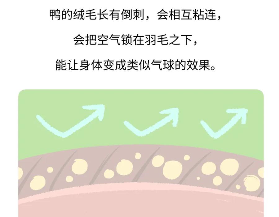 《胖达x胖达》第269话 第30页