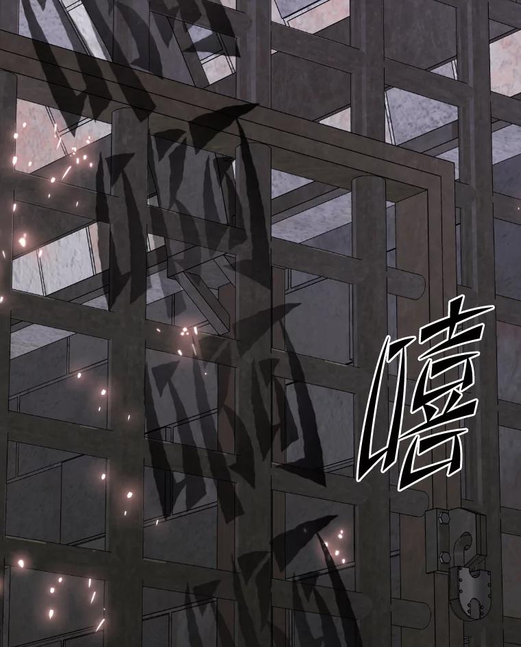 公爵夫人的秘密执笔 36.变相补偿 第110页