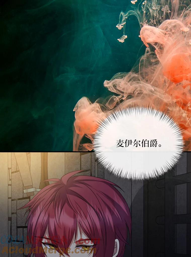 公爵夫人的秘密执笔 37.风格大变 第13页