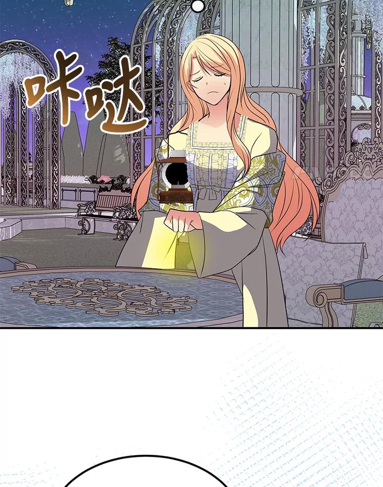公爵夫人的秘密执笔 38.写不出的爱情线 第64页