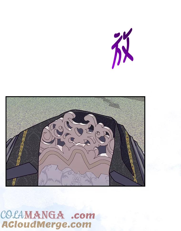 公爵夫人的秘密执笔 39.夫妻小酌 第97页