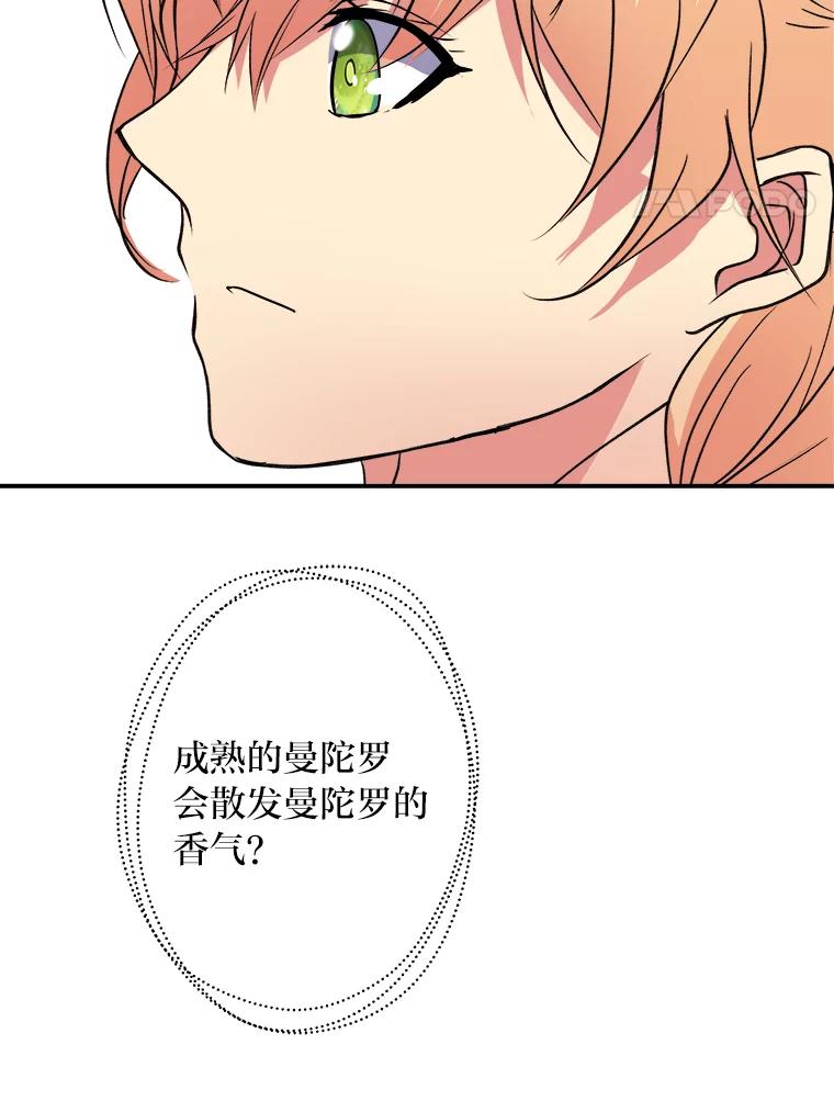 公爵夫人的秘密执笔 40.寻找灵感 第87页