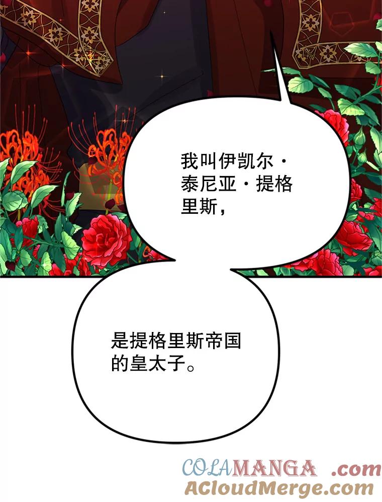 《反派也是万人迷》58.真实身份 第65页