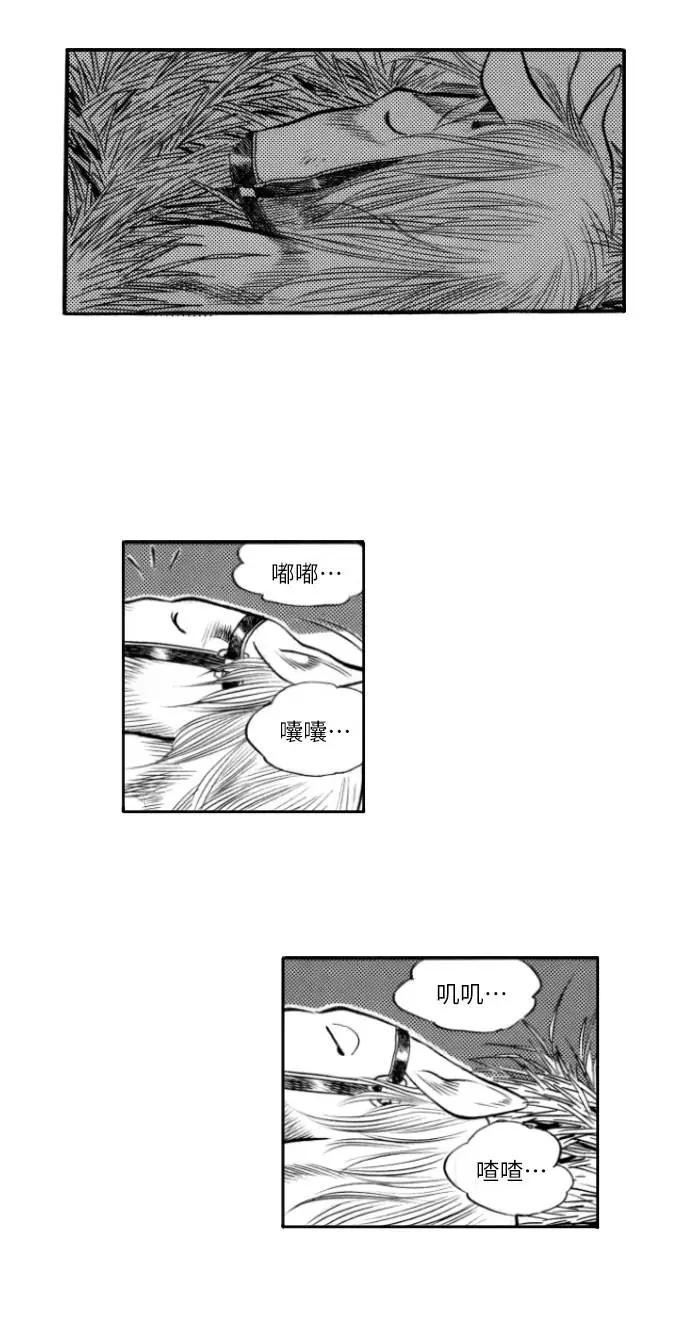 《龙飞不败》第53话 第54页