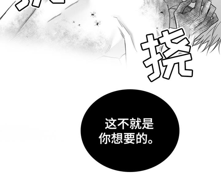 《狂乱欺压》第100章：【第三季】站住 第12页