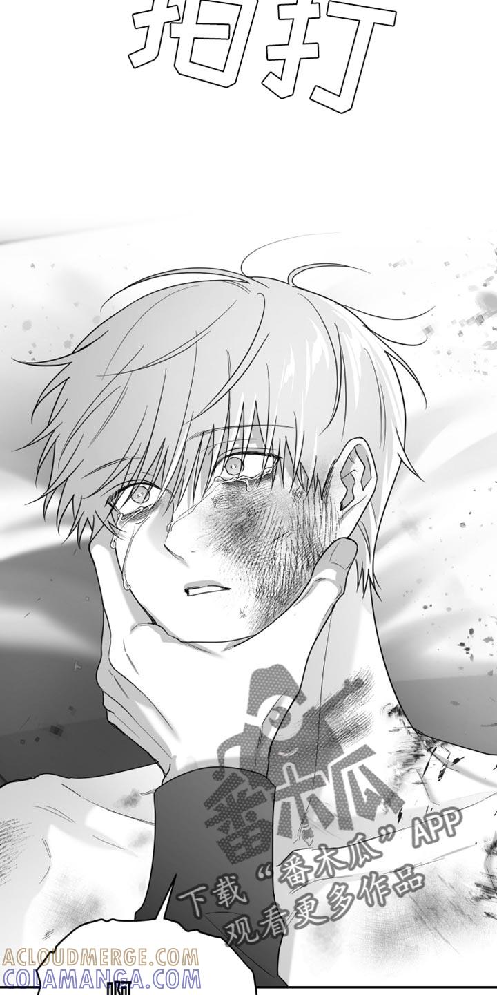 《狂乱欺压》第100章：【第三季】站住 第15页