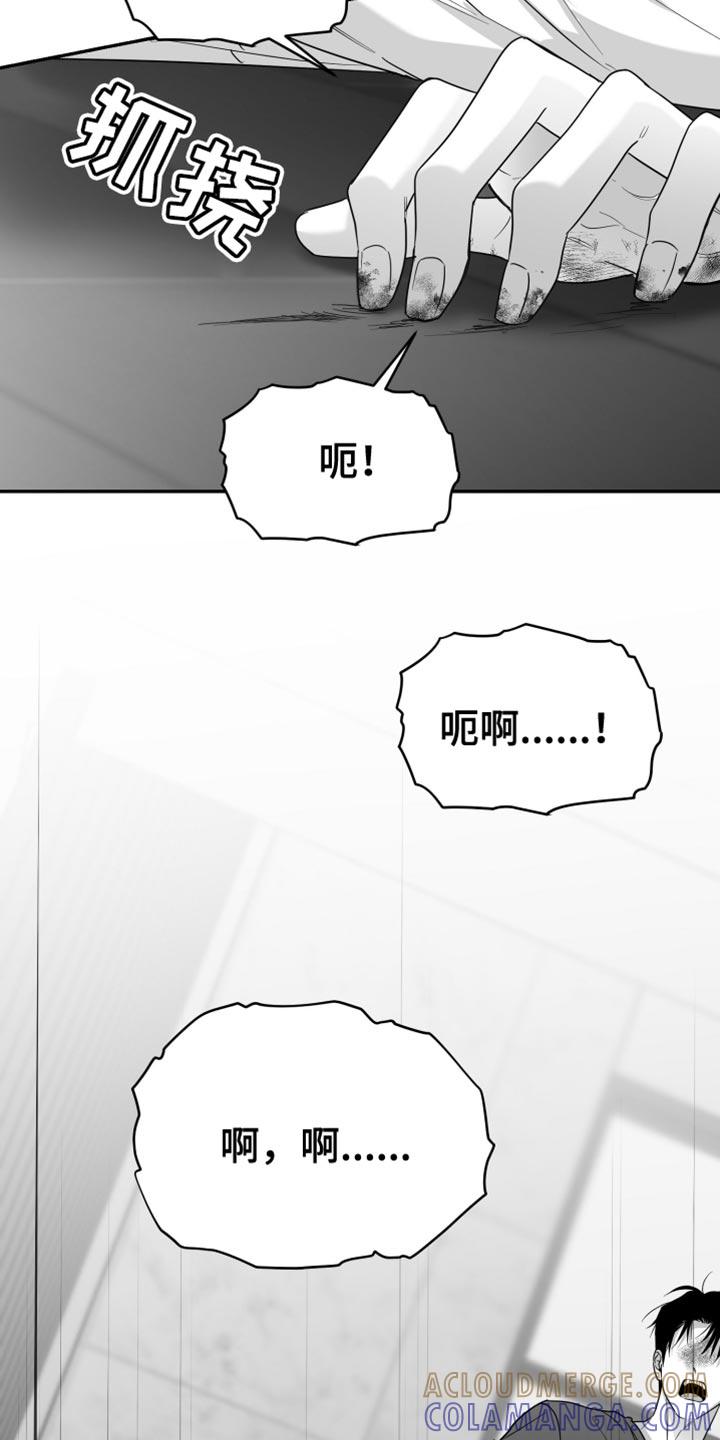 《狂乱欺压》第101章：【第三季】不再回头 第15页