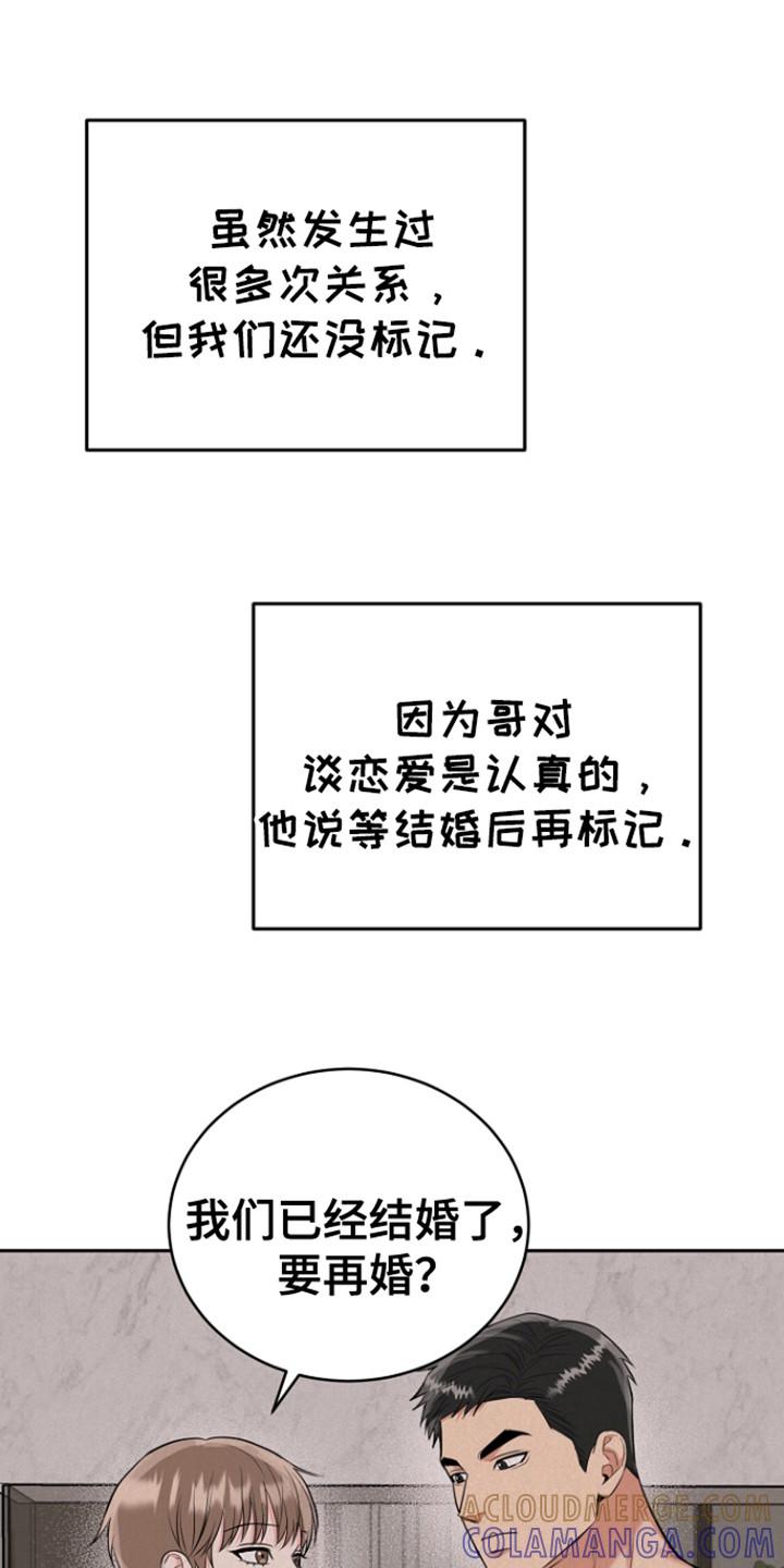 《虎的孩子》第110章：【第三季】还没标记 第13页