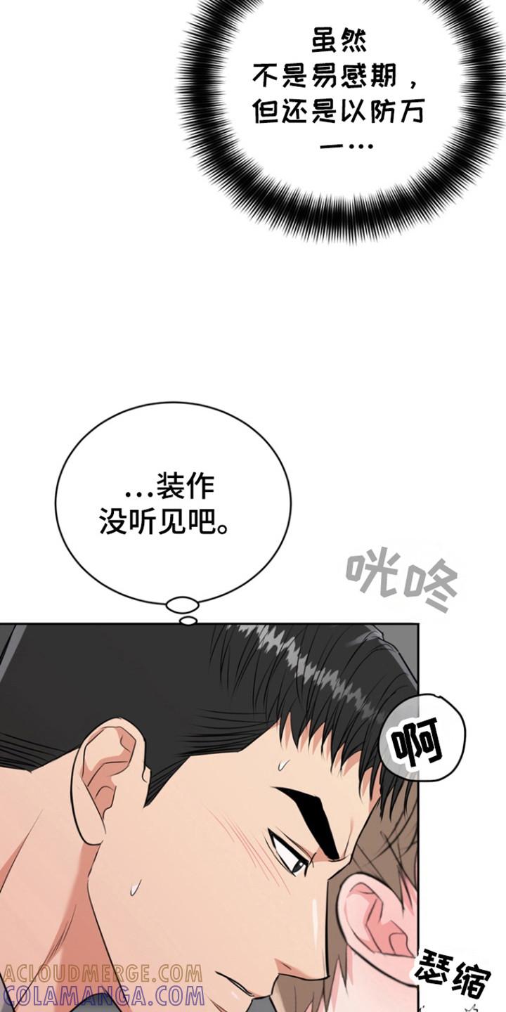 《虎的孩子》第112章：【第三季】生老二 第17页