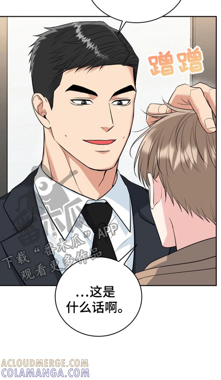 《虎的孩子》第113章：【第三季】善花的报复 第15页