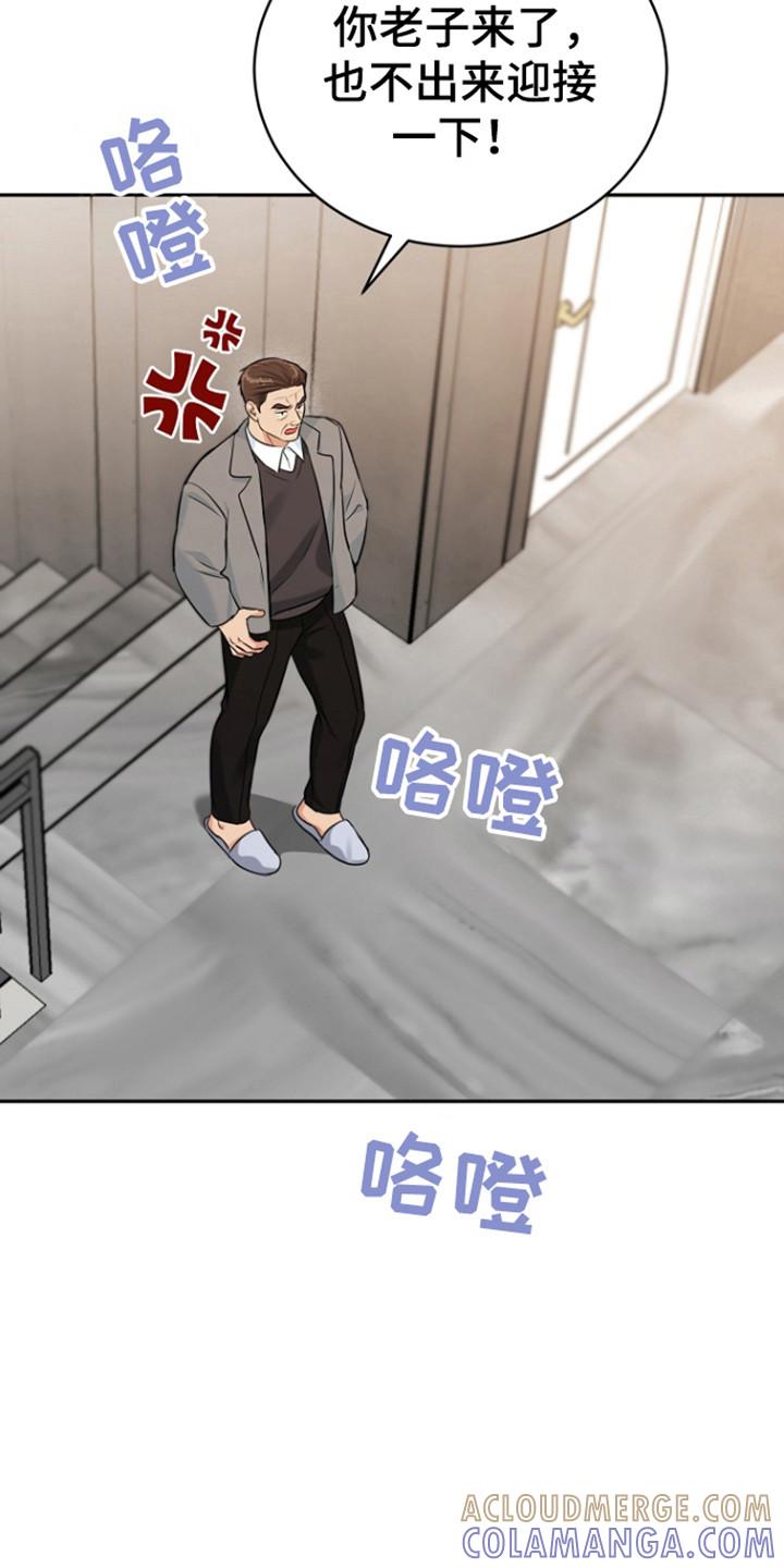 《虎的孩子》第116章：【第三季】心怀惭愧 第5页