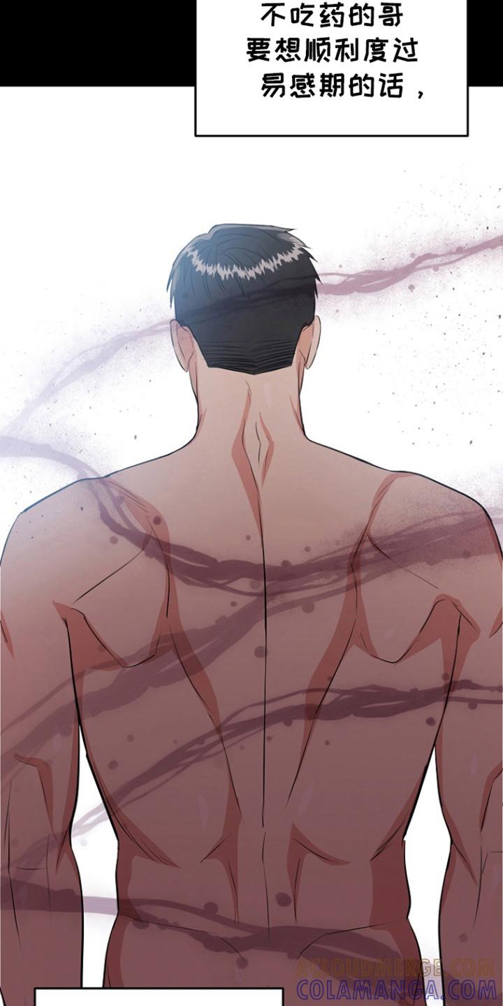 《虎的孩子》第116章：【第三季】心怀惭愧 第19页