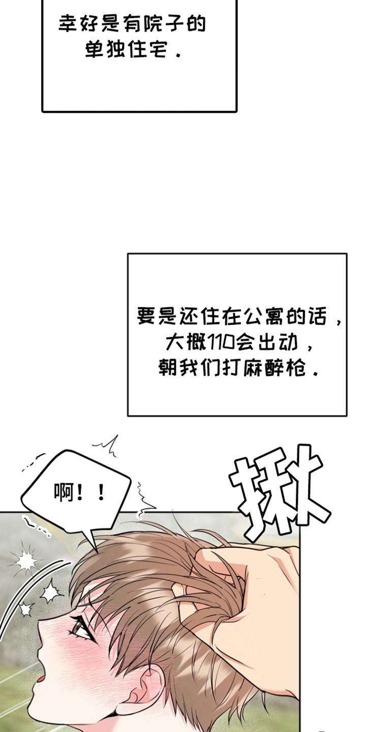 《虎的孩子》第117章：【第三季】未婚先孕 第12页
