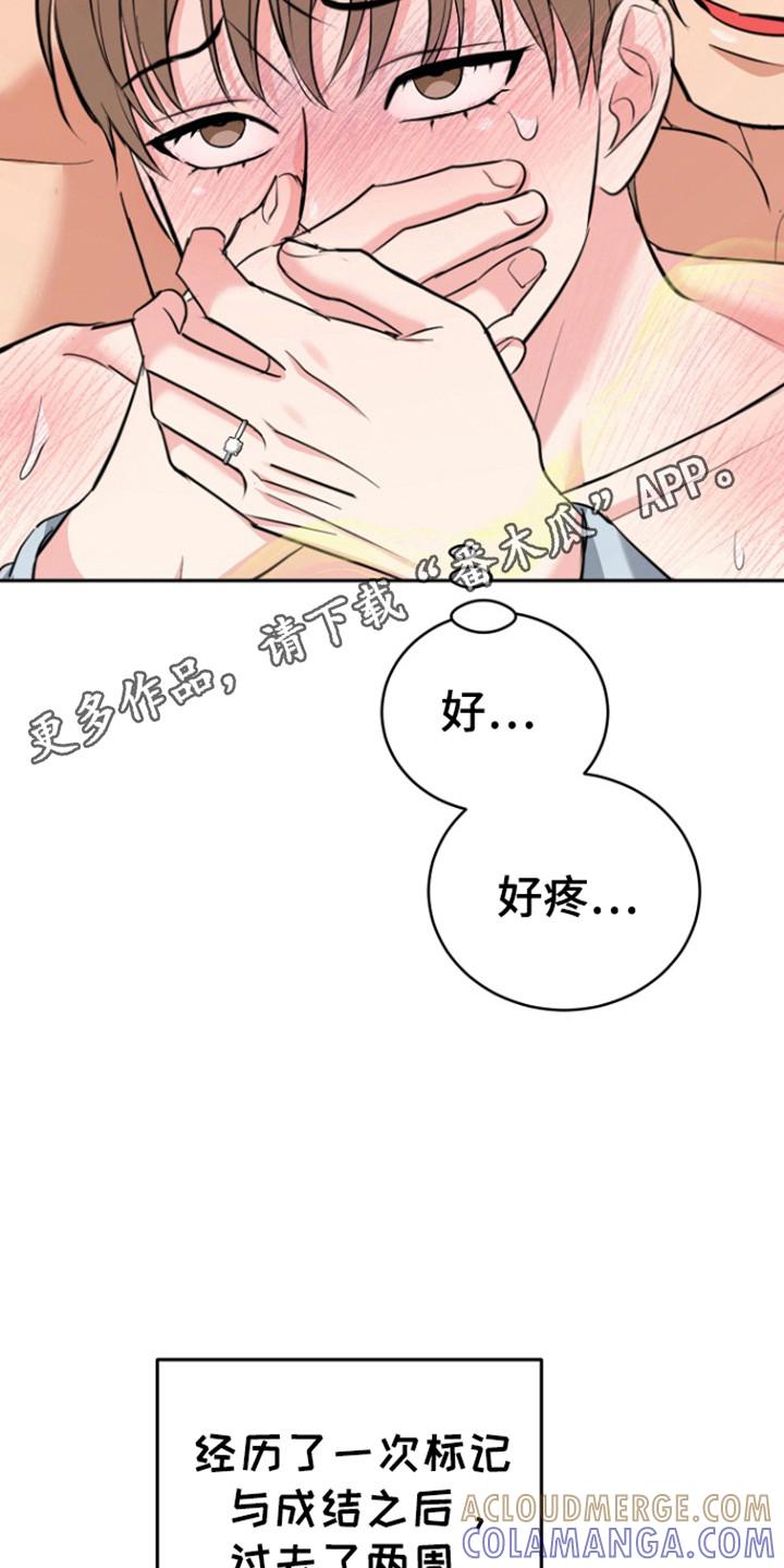 《虎的孩子》第117章：【第三季】未婚先孕 第23页