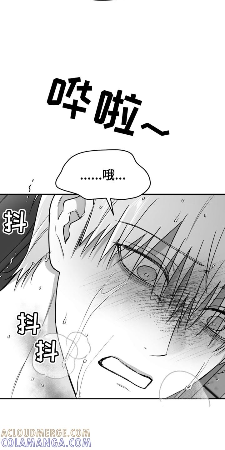 《狂乱欺压》第117章：【第三季】无法重新开始 第11页