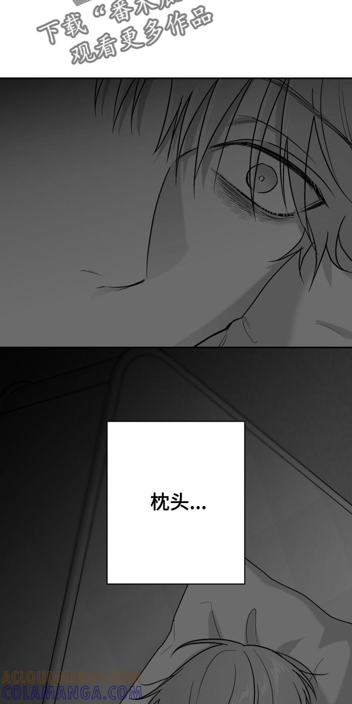 《狂乱欺压》第118章：【第三季】枕头 第29页