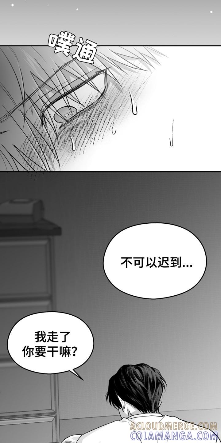 《狂乱欺压》第119章：【第三季】寄生于他的命令 第13页