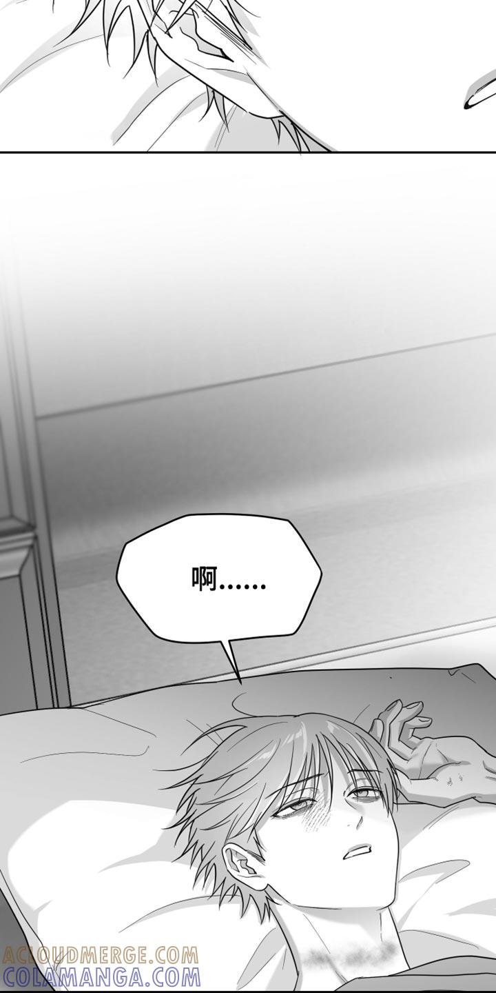 《狂乱欺压》第119章：【第三季】寄生于他的命令 第3页