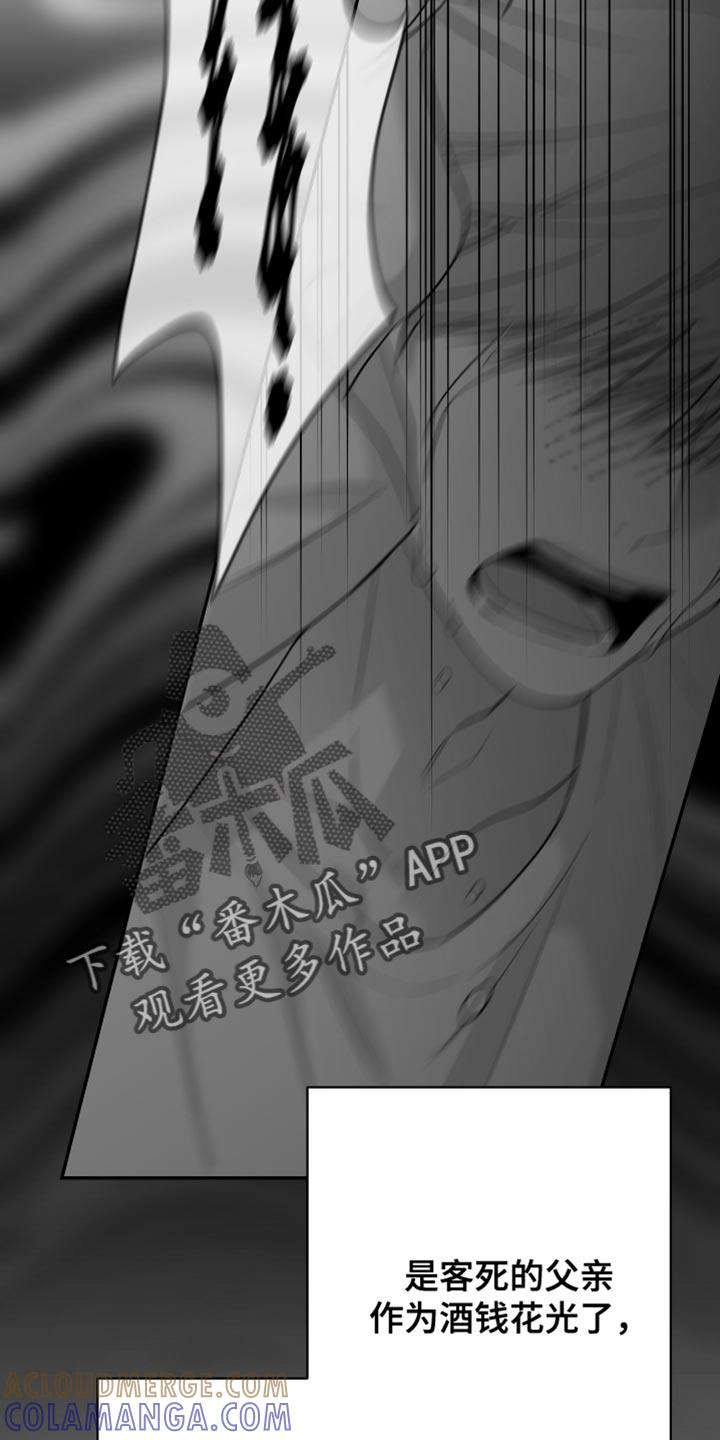 《狂乱欺压》第121章：【第三季】一塌糊涂 第13页