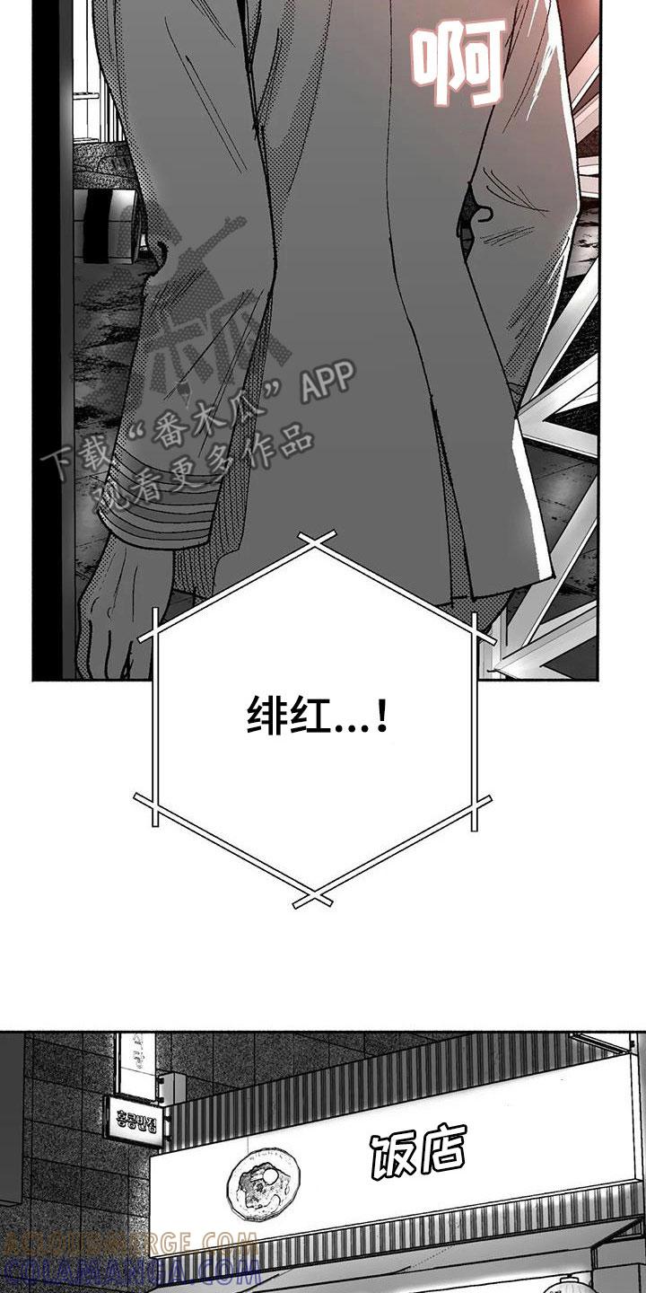 《绯色长夜》第65章：回归 第13页