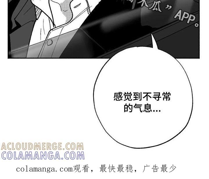 《绯色长夜》第65章：回归 第17页