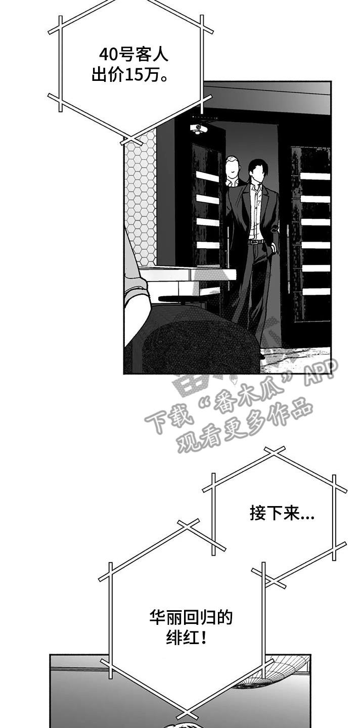 《绯色长夜》第66章：出价 第8页