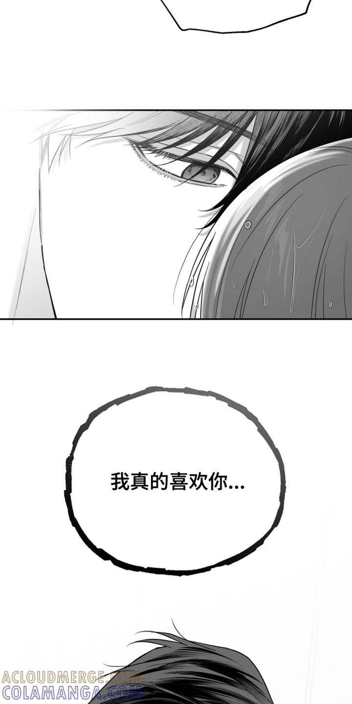 《狂乱欺压》第84章：【第三季】不是的 第13页