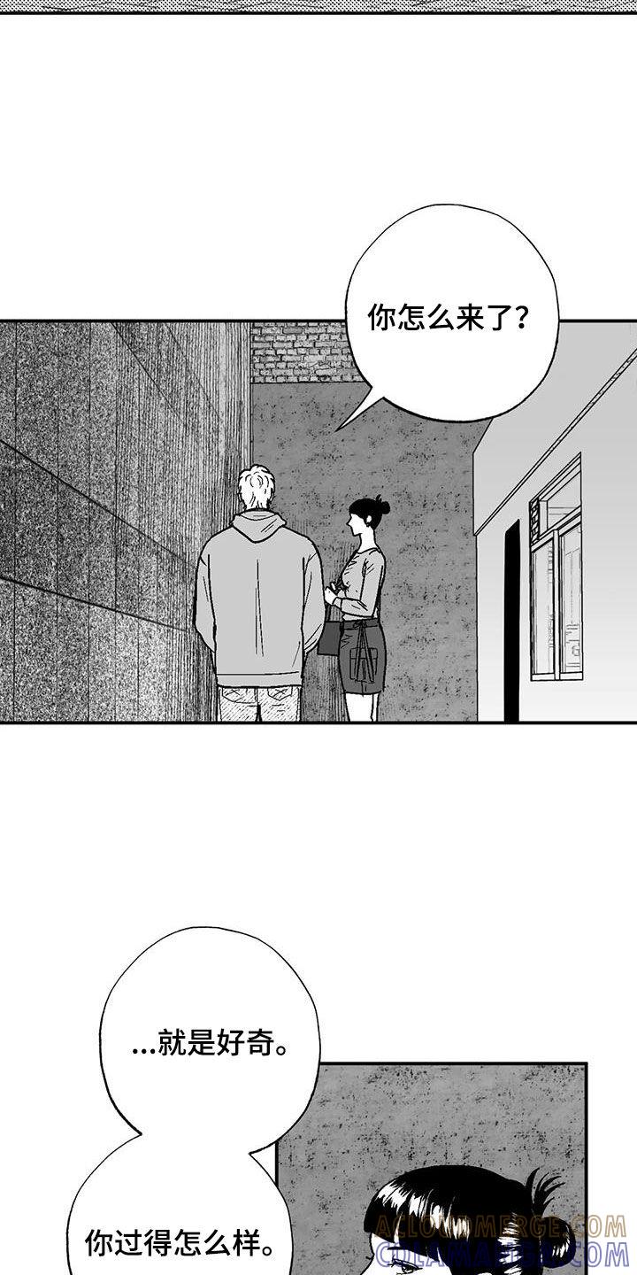 《绯色长夜》第88章：没想过辞职 第11页