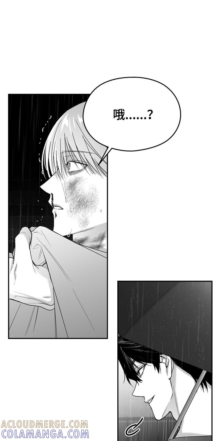 《狂乱欺压》第94章：【第三季】怎么离开的 第19页