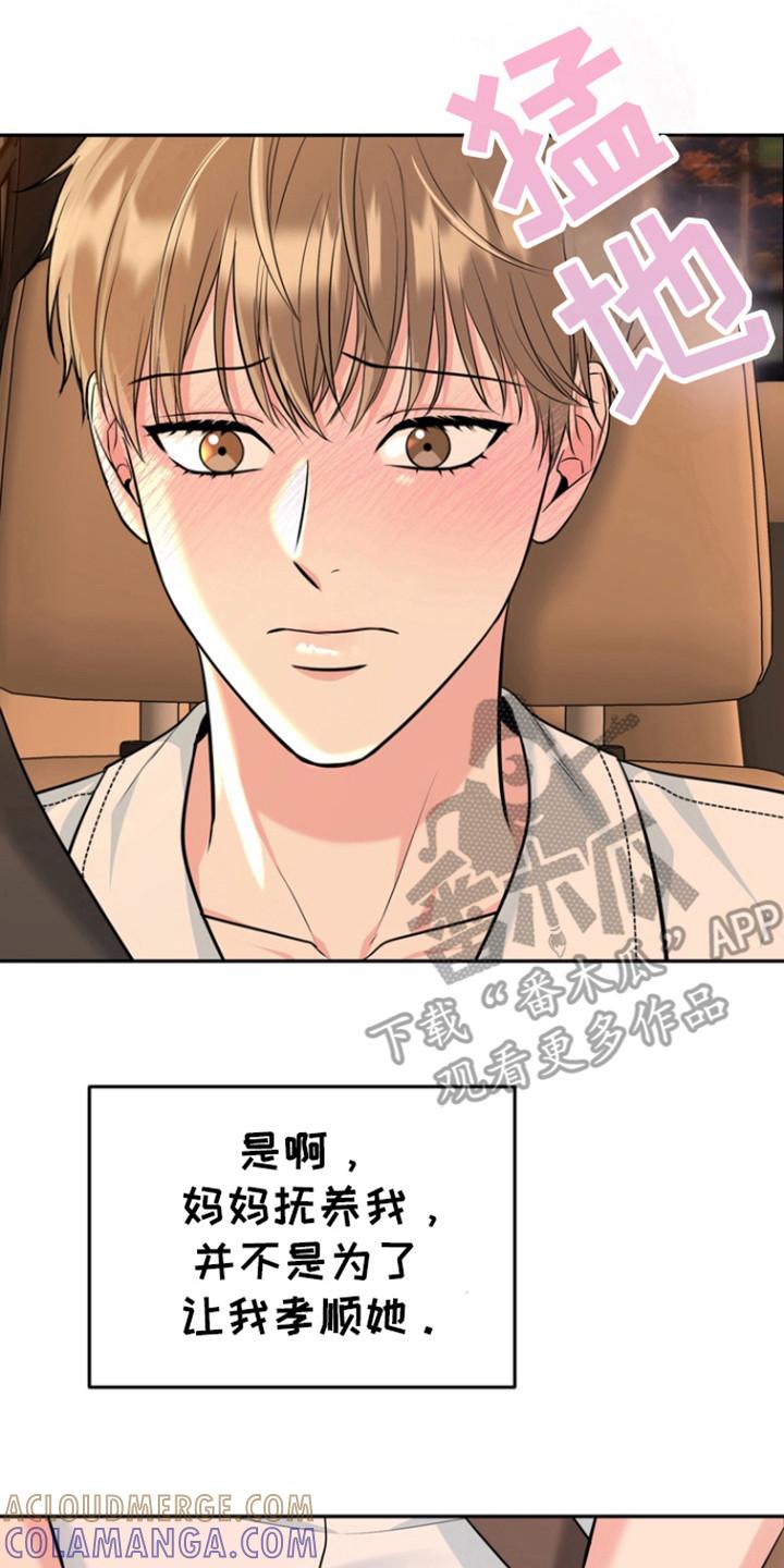 《虎的孩子》第97章：【第三季】孝顺 第15页