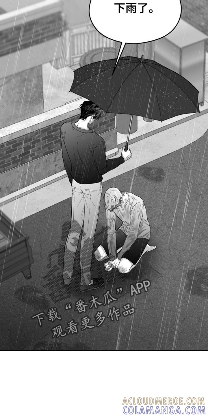 《狂乱欺压》第97章：【第三季】以后不喜欢你了 第7页