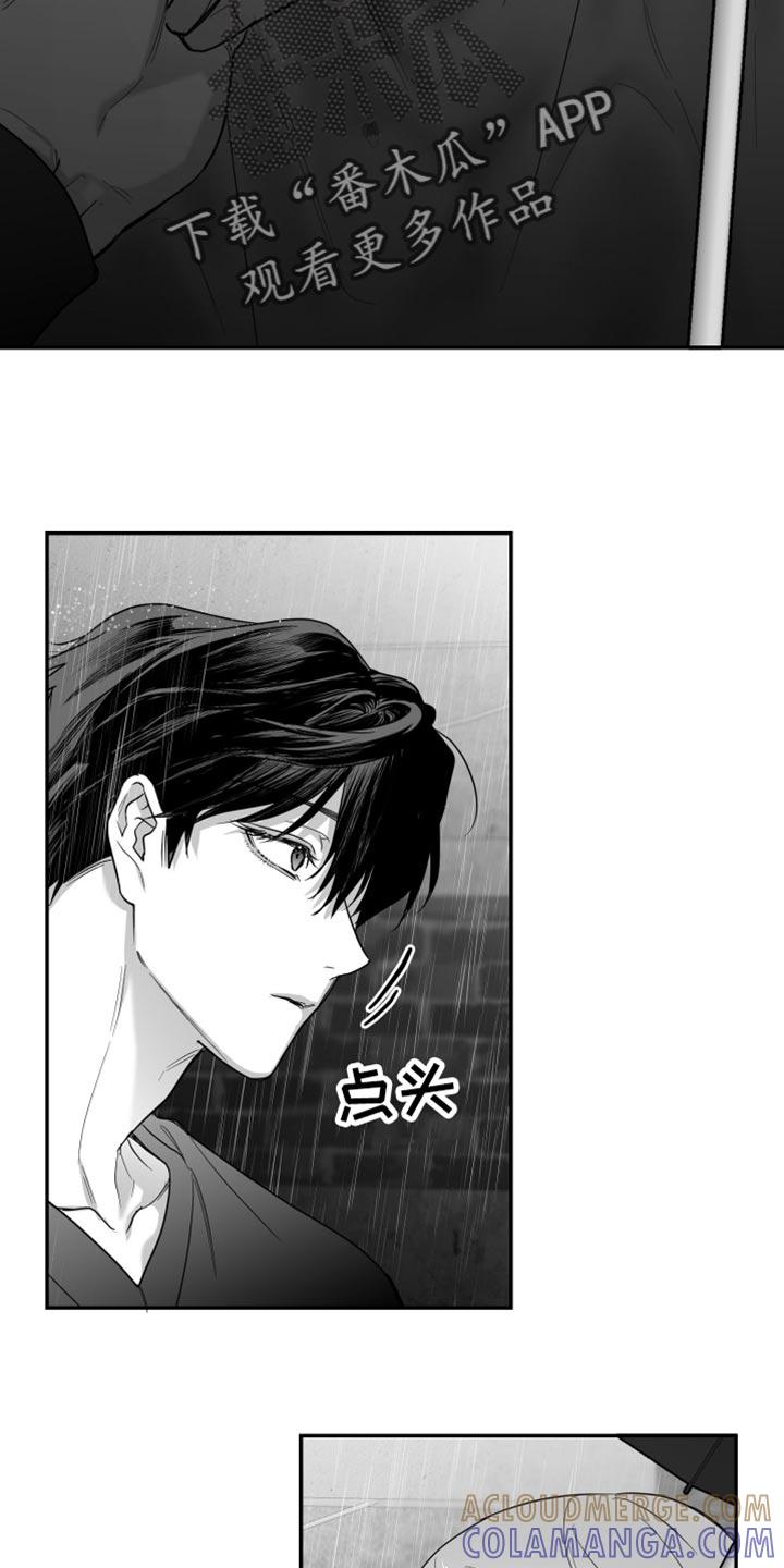 《狂乱欺压》第97章：【第三季】以后不喜欢你了 第13页