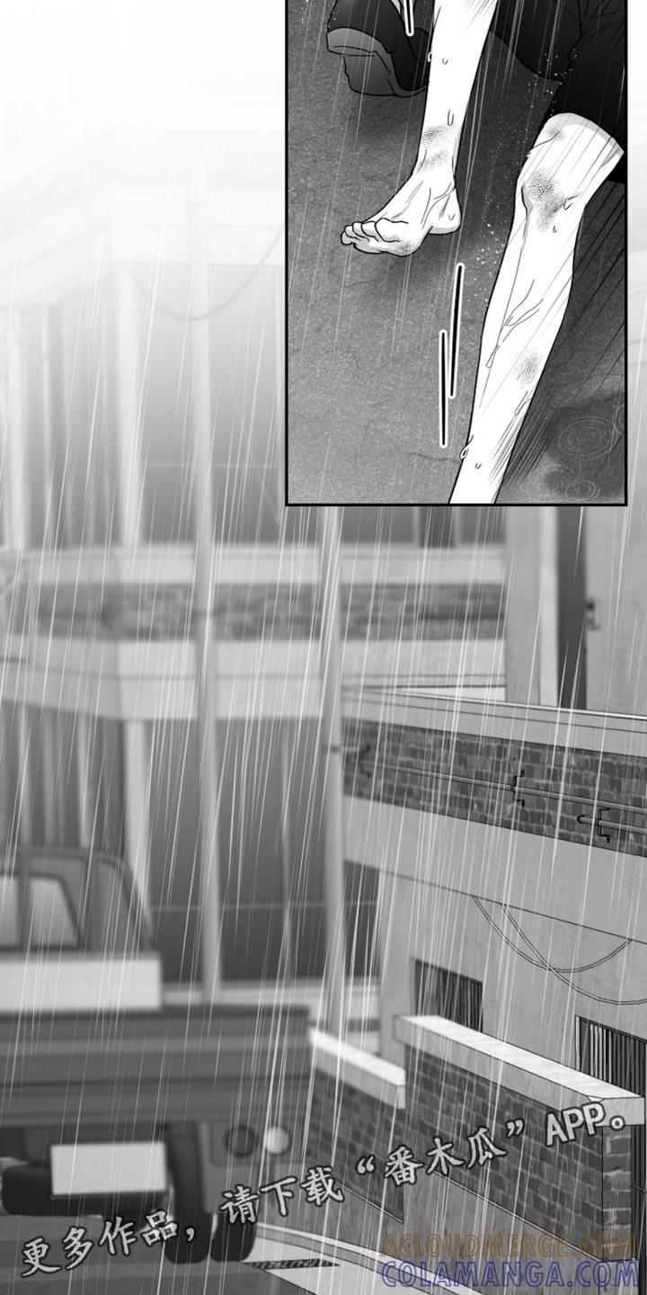 《狂乱欺压》第97章：【第三季】以后不喜欢你了 第41页