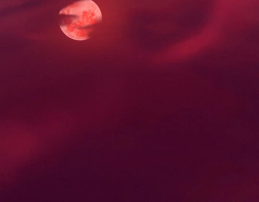 103.jpg
