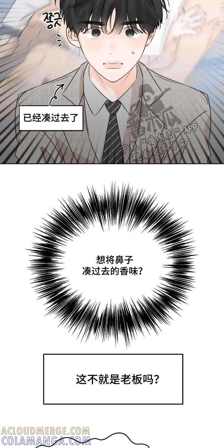 香味的边界 - 第86章：【第二季】有味道 - 第19张图