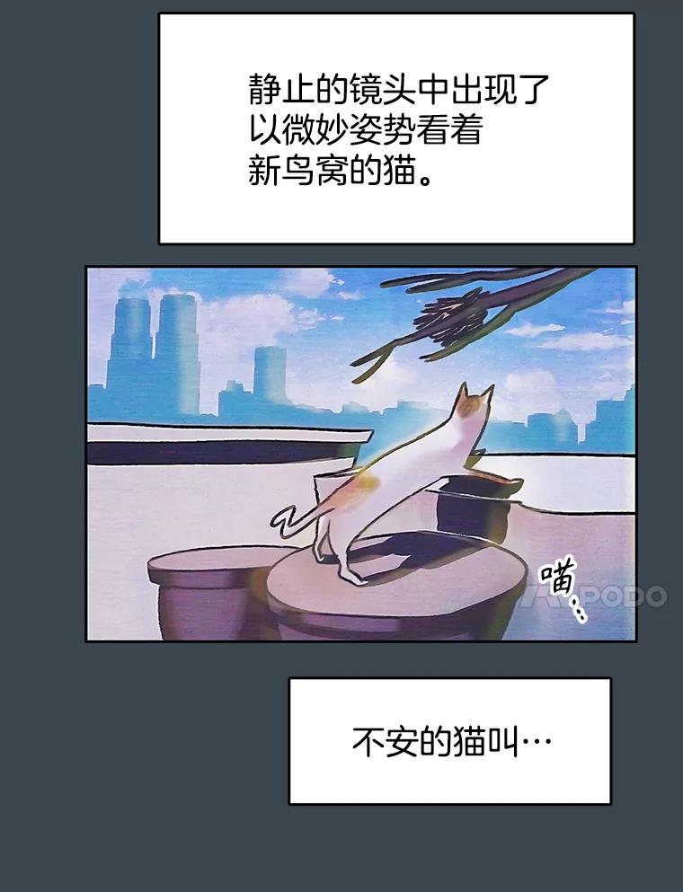《欢迎收看书生秀》156.阴影之下 第50页